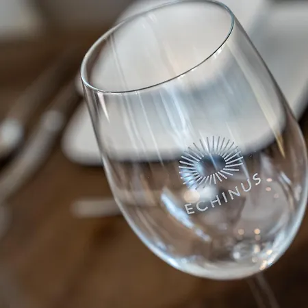 Hummergrund Echinus Daire Sankt Peter-Ording