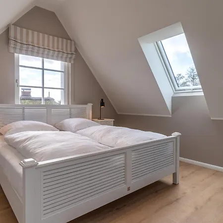 Hummergrund Echinus Sankt Peter-Ording