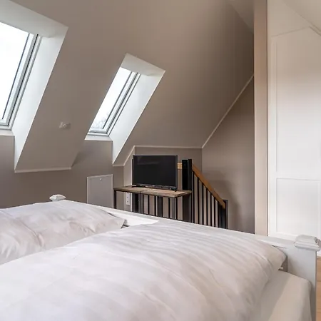 Hummergrund Echinus *