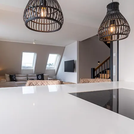 Hummergrund Echinus Daire *