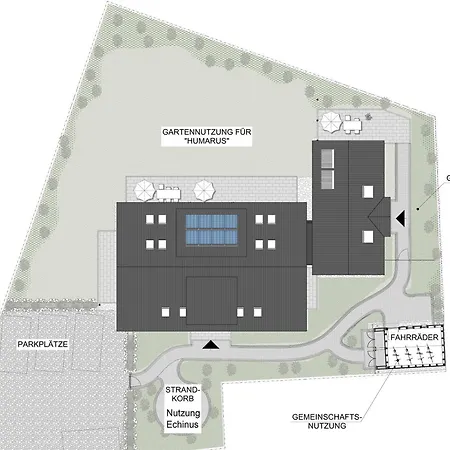 Daire Hummergrund Echinus