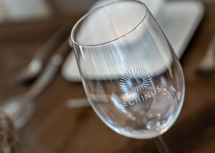 Hummergrund Echinus Apartamento Böhl