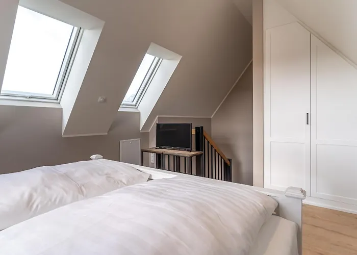 Hummergrund Echinus *