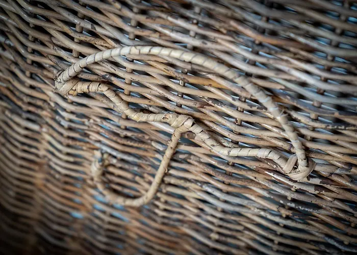 Apartamento Hummergrund Echinus