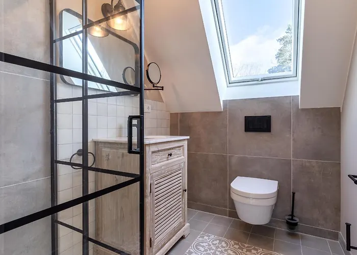 Hummergrund Echinus *